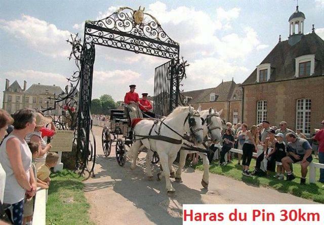 Bed and Breakfast Haras De La Croix D'Argent Saint-Sauveur-de-Carrouges Exteriér fotografie